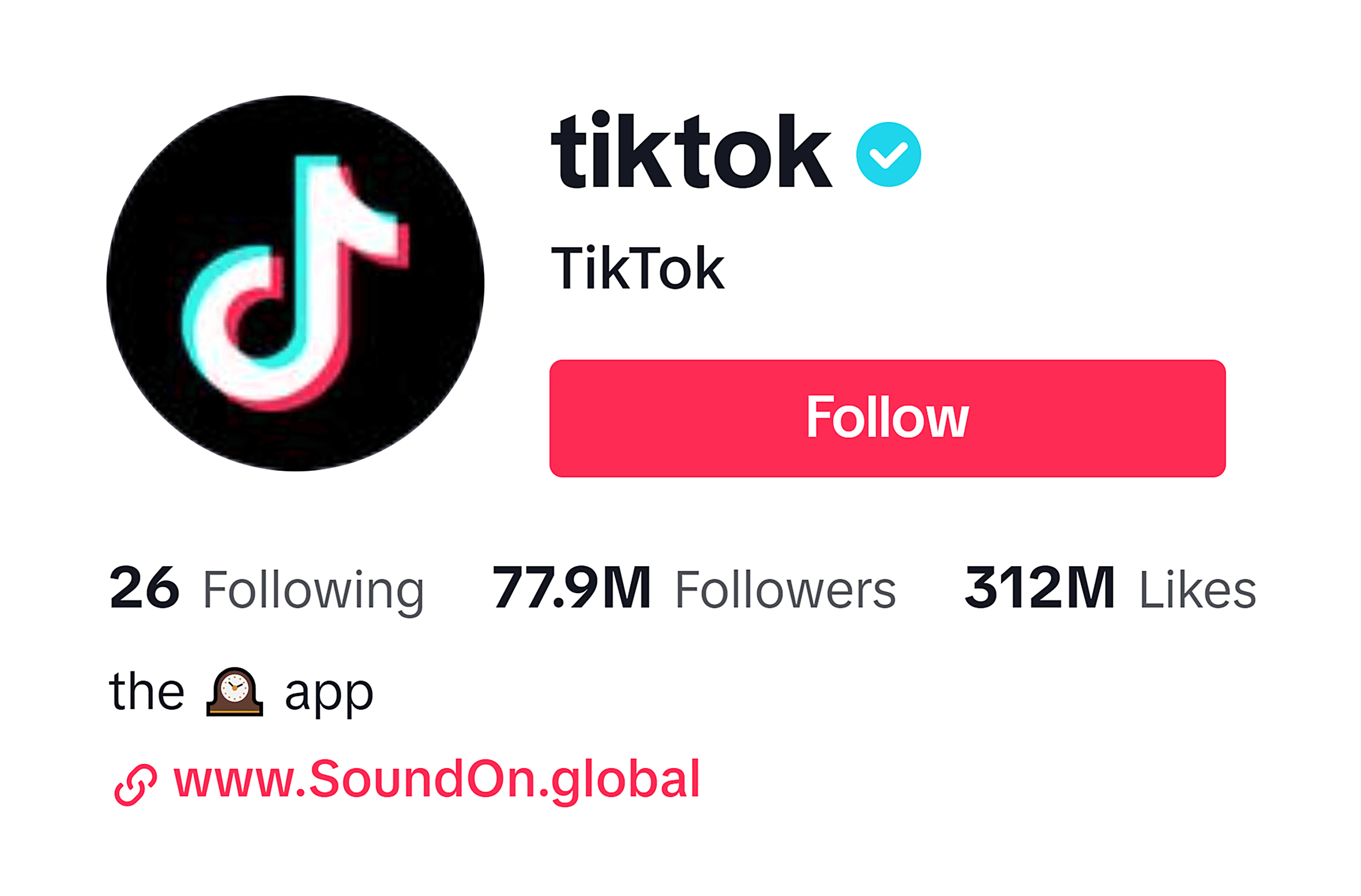 TikTok – Company profile picture