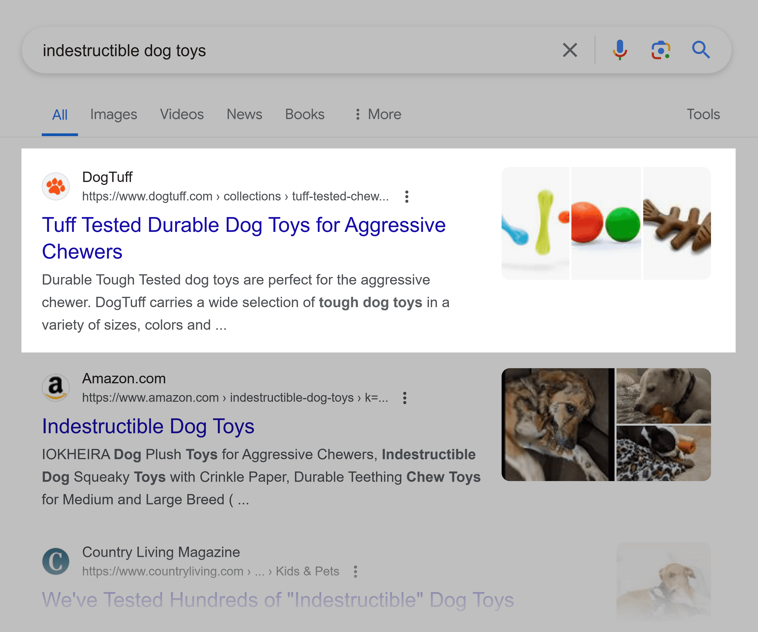 Google SERP – Indestructible dog toys